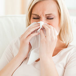 Pierce Refrigeration has an indoor air quality solution for your toughest allergies. From ductless mini-splits to commercial heat pumps, Pierce Refrigeration is highly rated and recommended in Massachusetts.