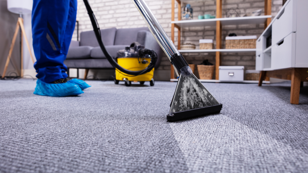 Vacuuming regularly and having your rugs and carpets professionally cleaned from time to time can keep excess dust and dirt to a minimum. 