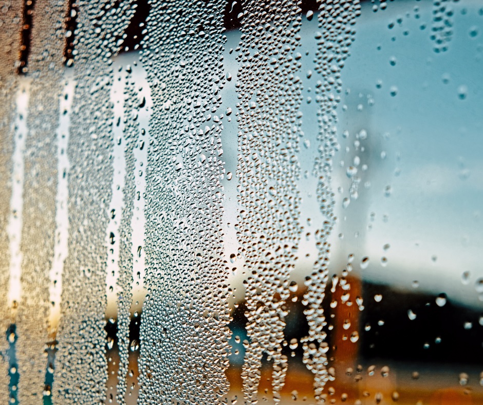 High humidity levels in homes can cause an assortment of issues for your health as well as for your home.